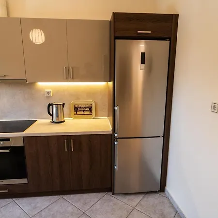 公寓 Mouzakiaris Meteora View *